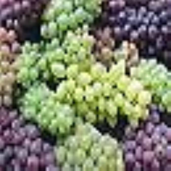 دانستنی های تغذیه ای(5)