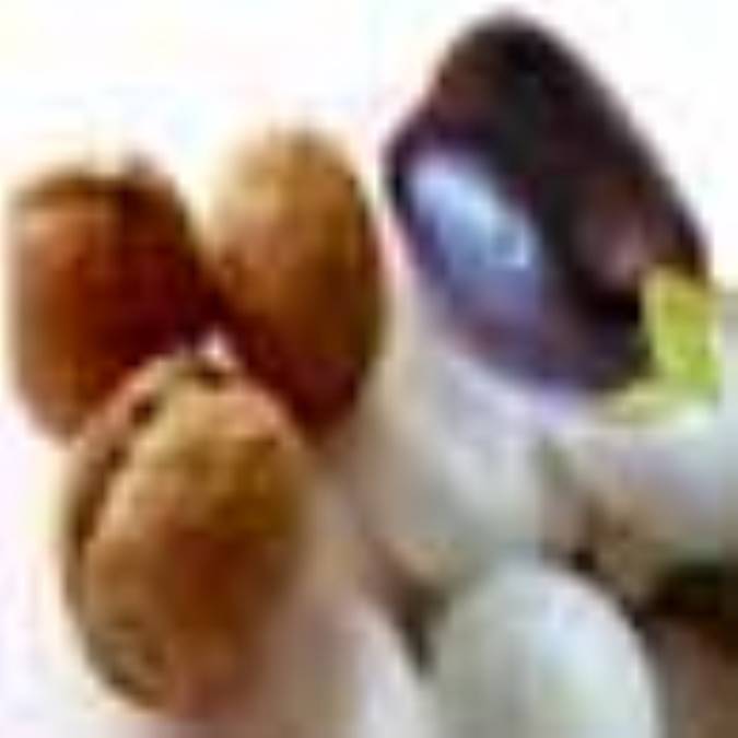 كوكوى قارچ، بادمجان و گردو