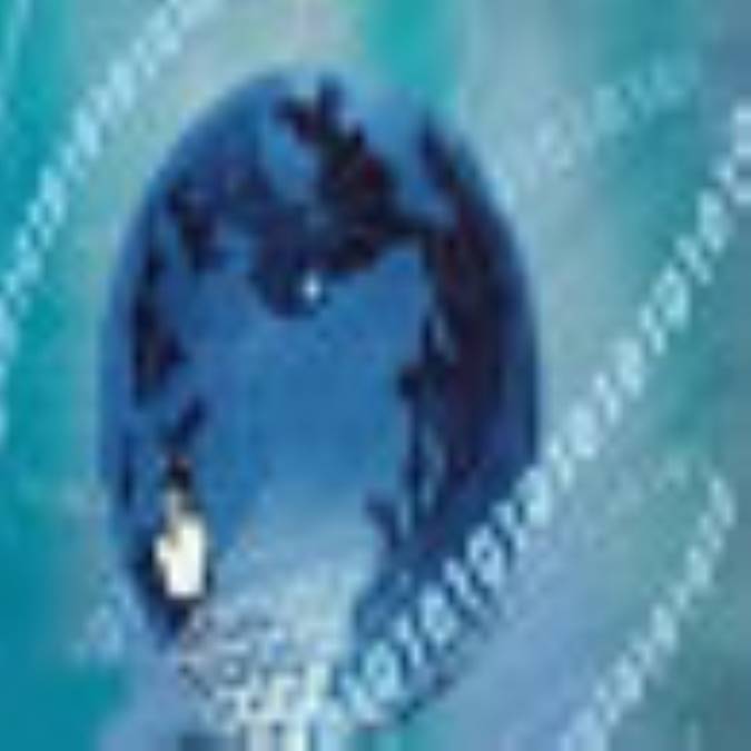 جامعه سیلیکونی