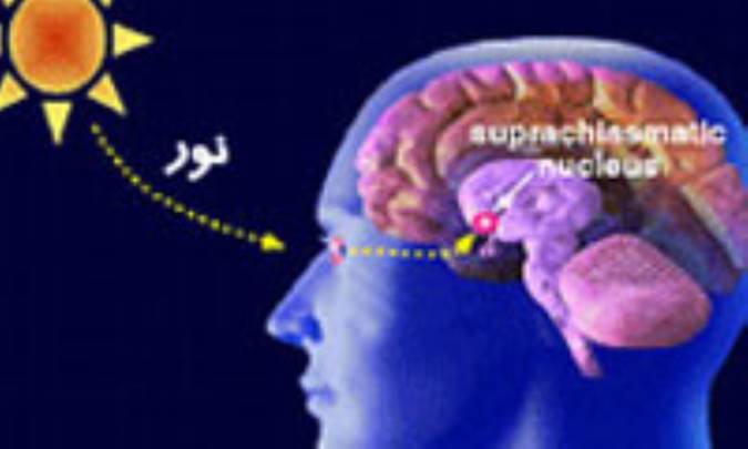 با این مورد خطرناک آشنا شوید!