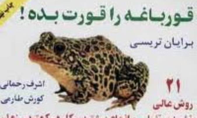 جمع‌بندی و نتیجه‌گیری از کتاب قورباغه را قورت بده 
