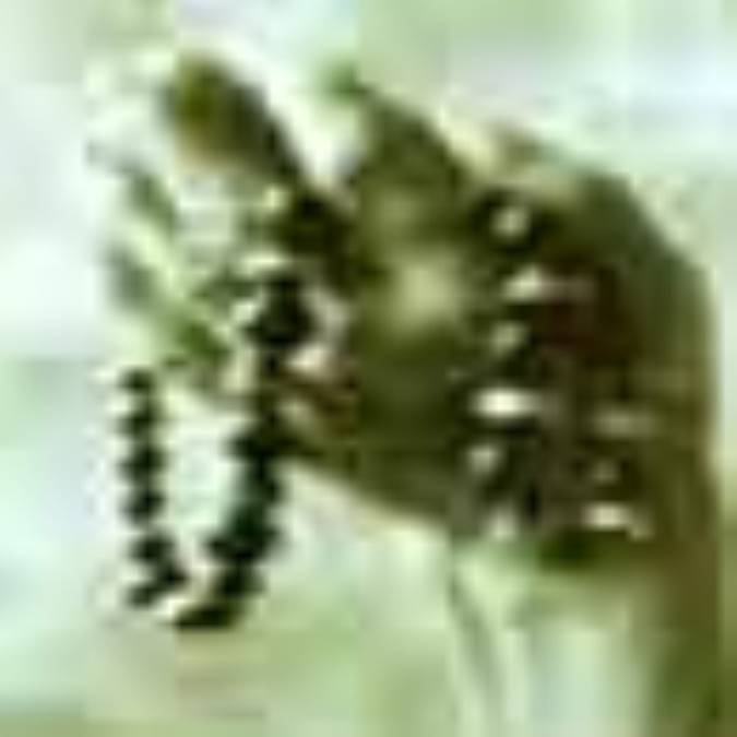 افعال نماز از منظر اهل بیت