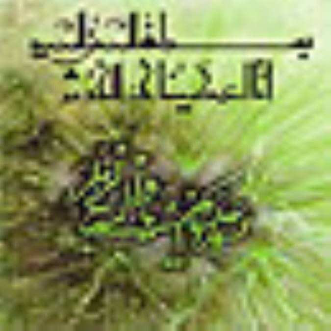 كوثر قرآن 