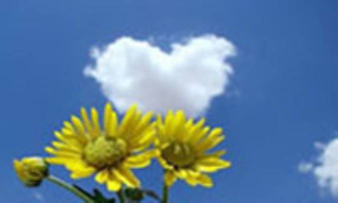 رموز کاميابي شما