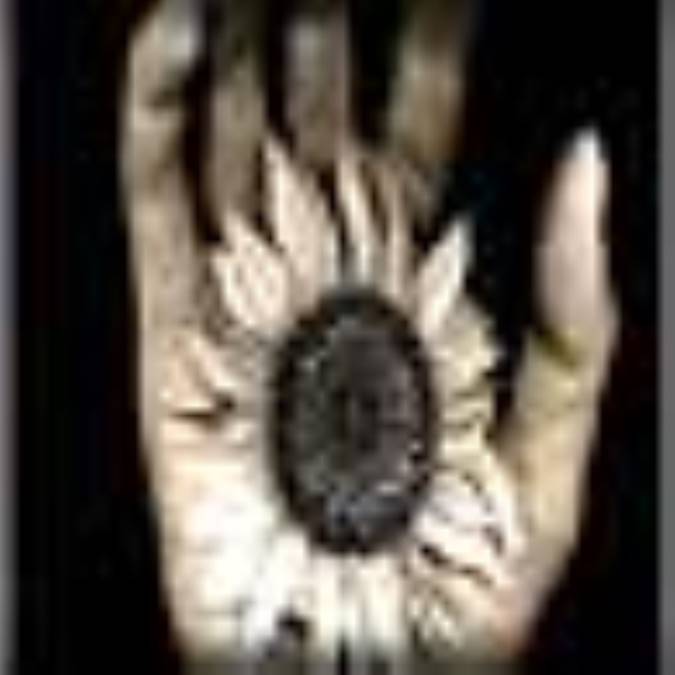 خوشبختي در دستان ماست