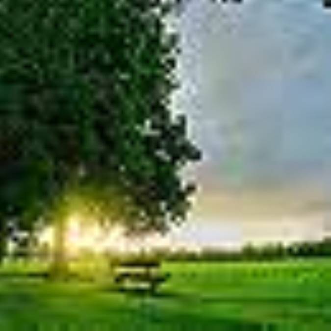 کيفيت زندگي وابسته به سلامت