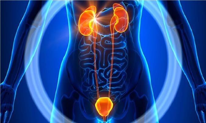 چگونه عفونت ادراری را درمان کنید؟