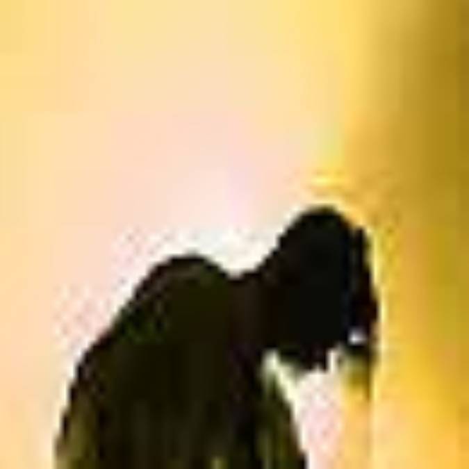 آيا هميشه خسته ايد ؟