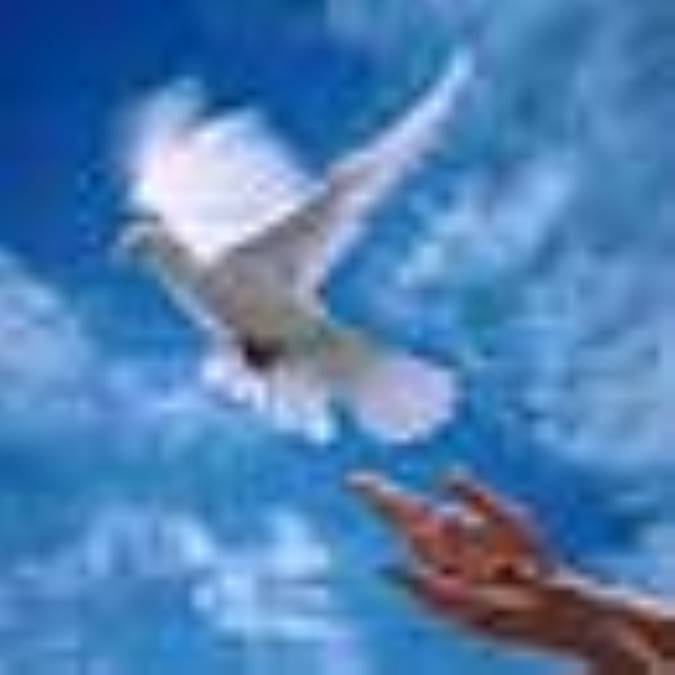 درنگي در ملكوت هستي