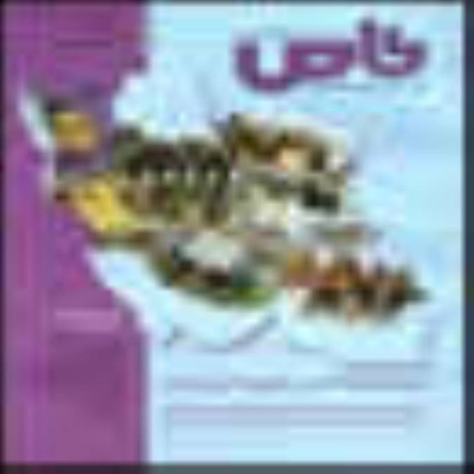 فصلنامه خاص