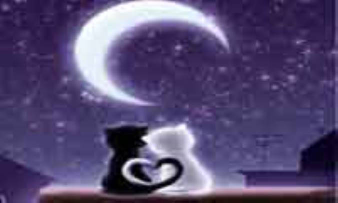 شب وصال