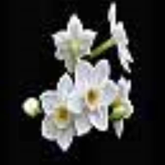 آيه هاي انتظار