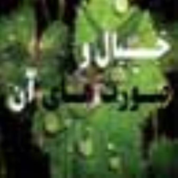 خيال و صورت هاي آن خيال چيست؟