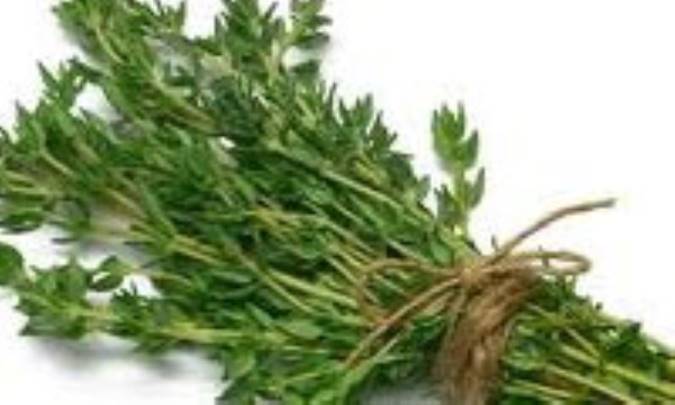 کوراده- نوعي گياه کوهستاني