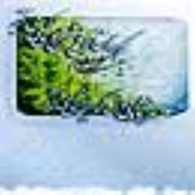 رجعت از ديدگاه عقل