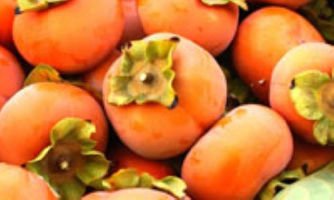 خرمالو، مولتي‌ويتامين طبيعي