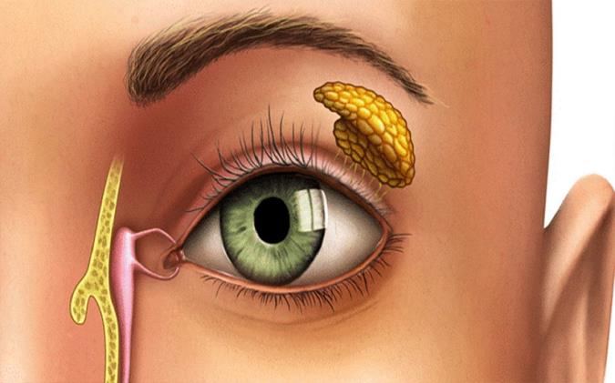 همه جیز راجع به داکرایوسیتیت