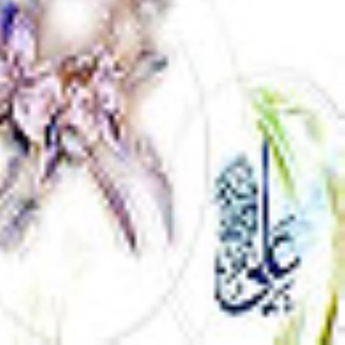 فقر و فقرزدایی از دیدگاه امام علی علیه السلام