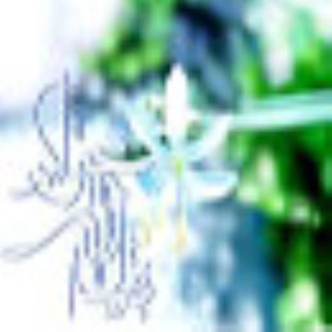 جلوه های رحمت