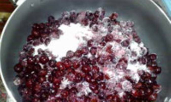 اشکنه آلبالو