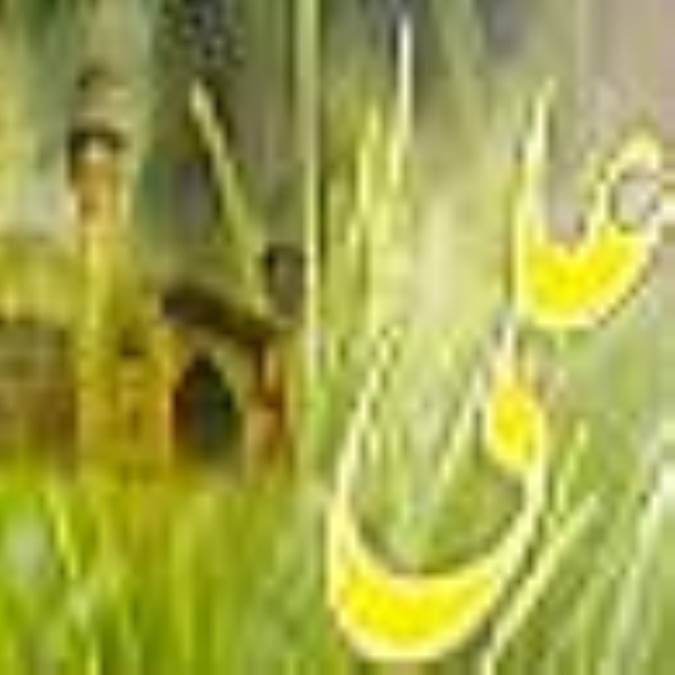 علي (ع)؛ تمام و كمال 