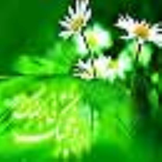 درآمدي بر تربيت نسل منتظر- قسمت سوم