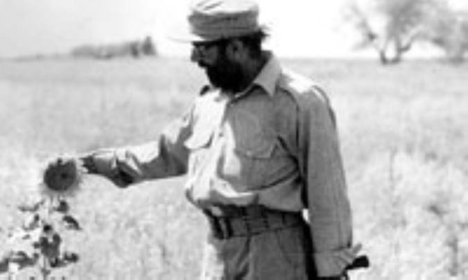 تصوير گر حقيقت کلمات