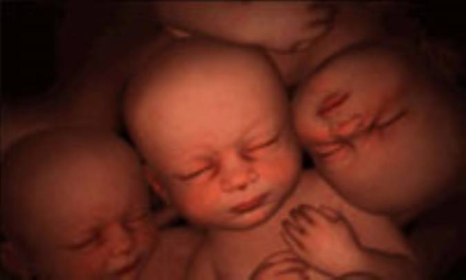 عوامل چند قلوزایی و خطرات آن