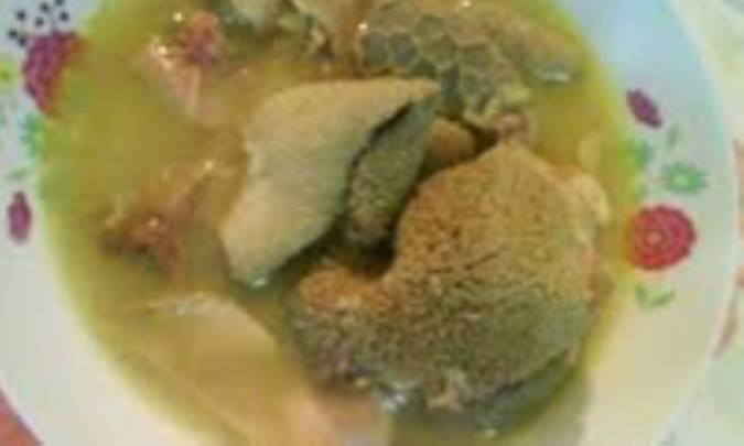 شيلافه يين، گيپه- شيردان