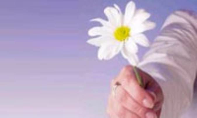 چگونه از همسرمان عذرخواهي کنيم؟