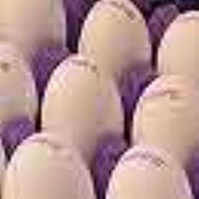 تخم‌مرغ؛ منبع بسيار غني غذايي 