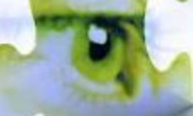 رابطه عقل و وحی (2) 