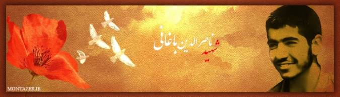 درباره شهیدناصرالدین باغانی