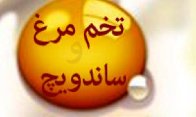 تخم مرغ و ساندويچ