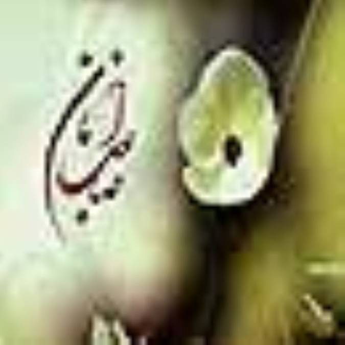 مهدويت و مدينه فاضله (1)