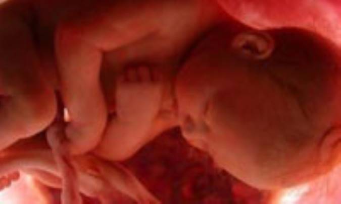 بارداري عليه زناشويي؟!