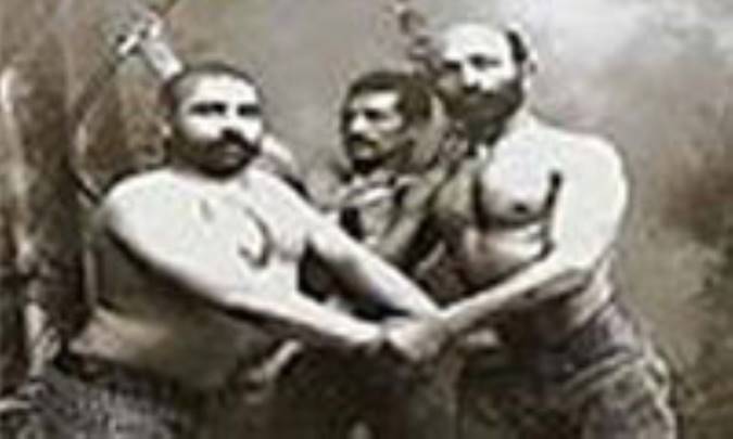نسل پهلوان پنبه اي؟