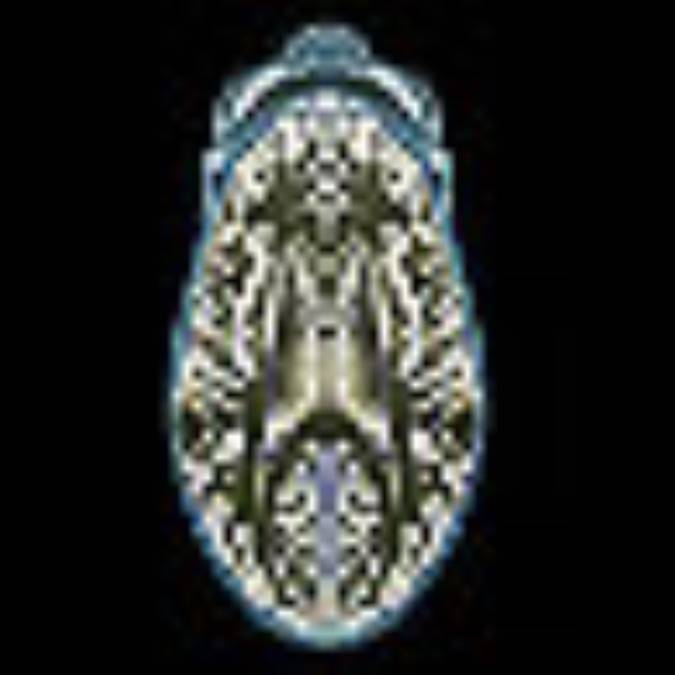 تفاوت مغز زن و مرد