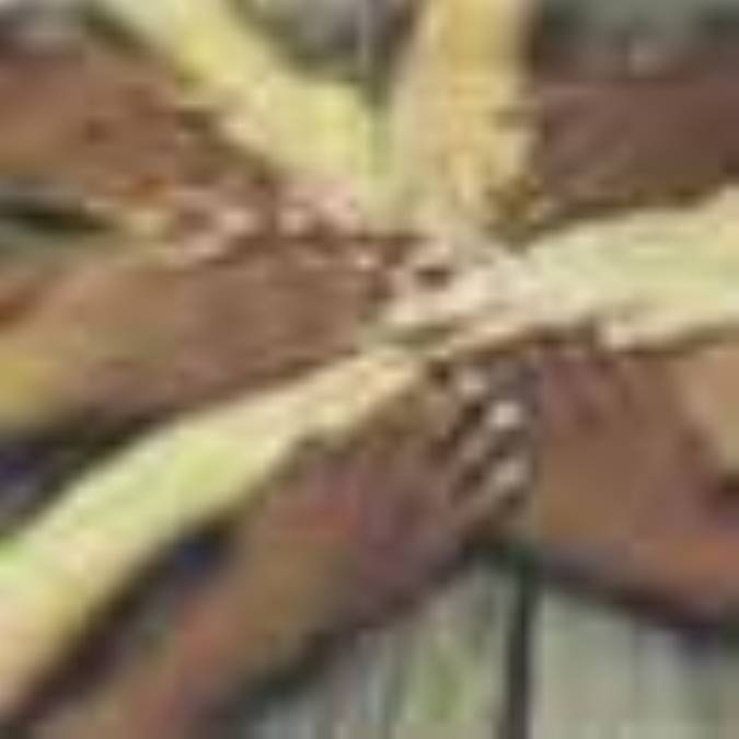 تبعيض نژادي