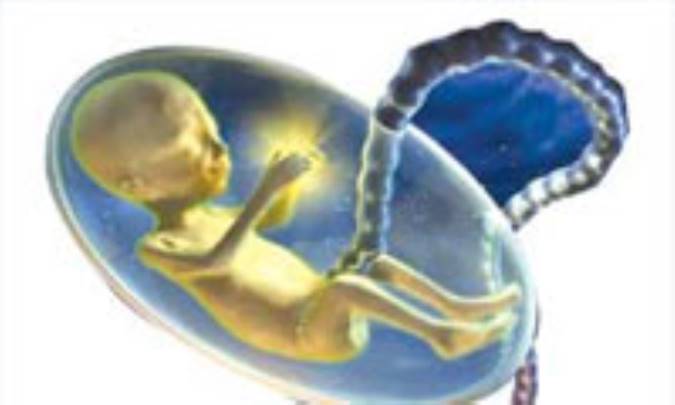 اهداء جنین(3)