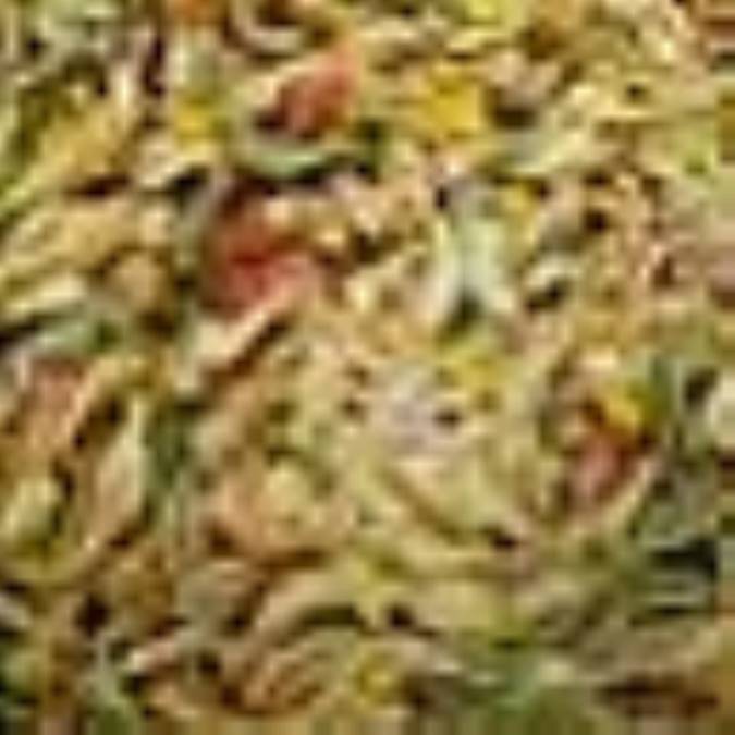 ماکاروني مخلوط