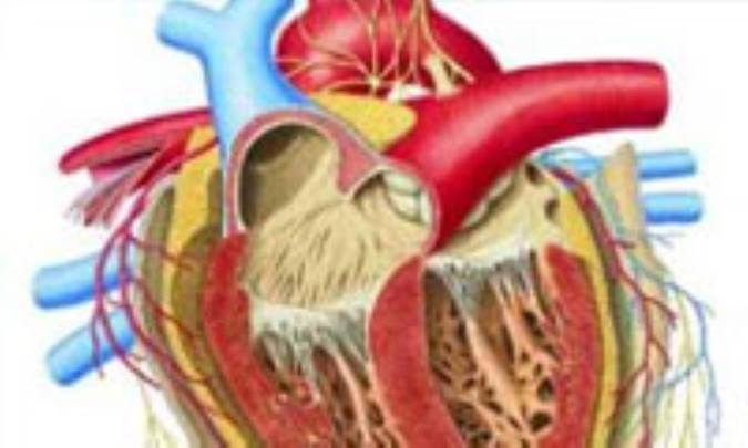 ايست قلبي در يک نگاه