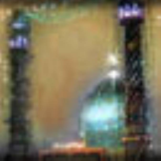 فرزندان امام زمان(عج)