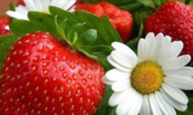 مارمالاد توت فرنگی