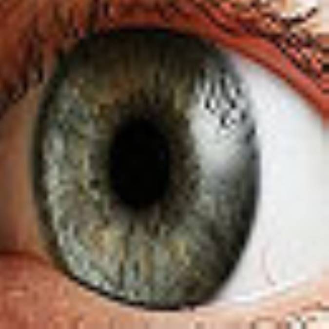 تحریک حس بینائی