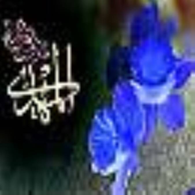 تشرف سيد مرتضى نجفى در مسجد كوفه 