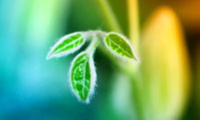 هنر زندگی کردن