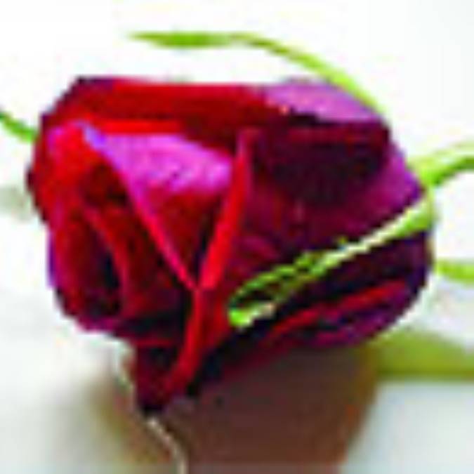 مبانى عشق