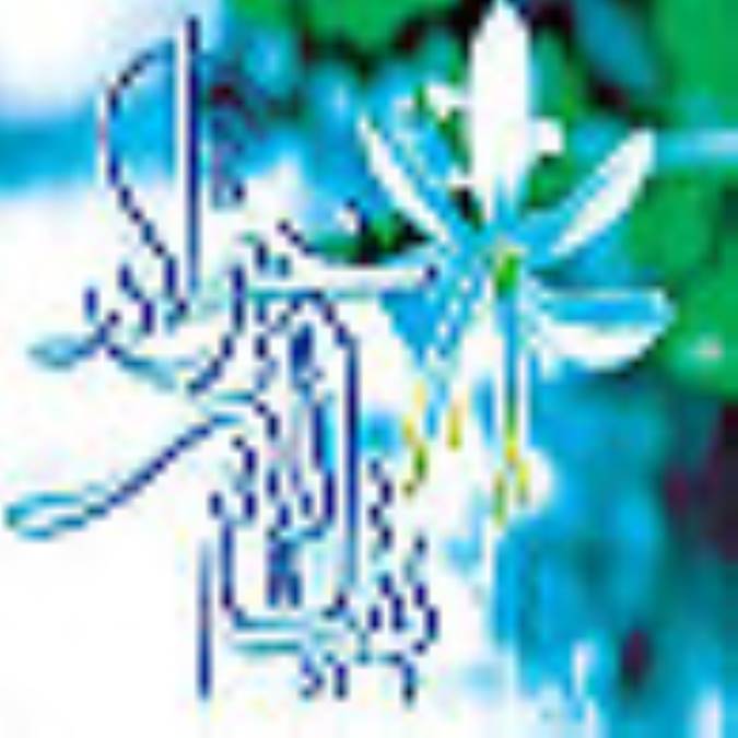 ضرورت ارتباط با امام عصر(علیه السلام)