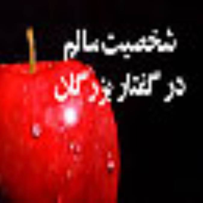 شخصيت سالم در گفتار بزرگان 
